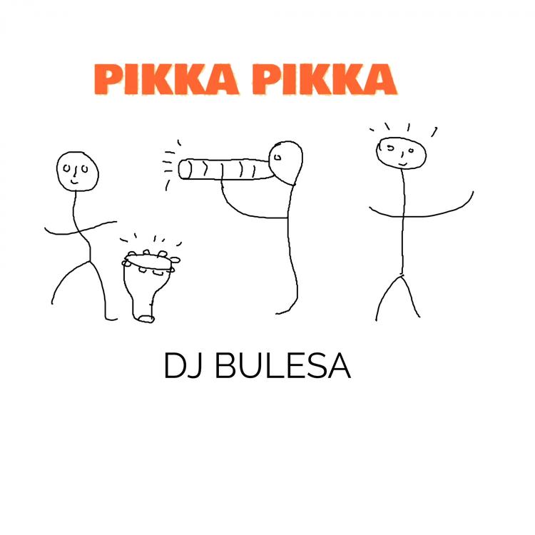 DJ BULESA's avatar image