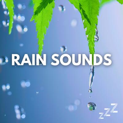 Deep Sleep Rain Sounds (Loopable, No Fade)'s cover