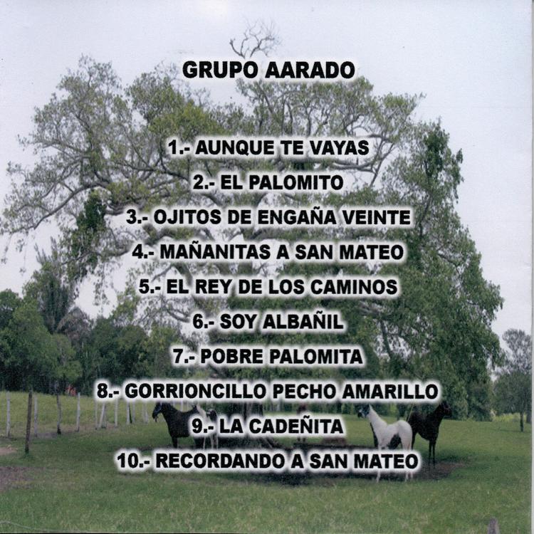 Grupo Aarado's avatar image