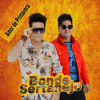 Amor de Primavera By Bonde Sertanejo's cover