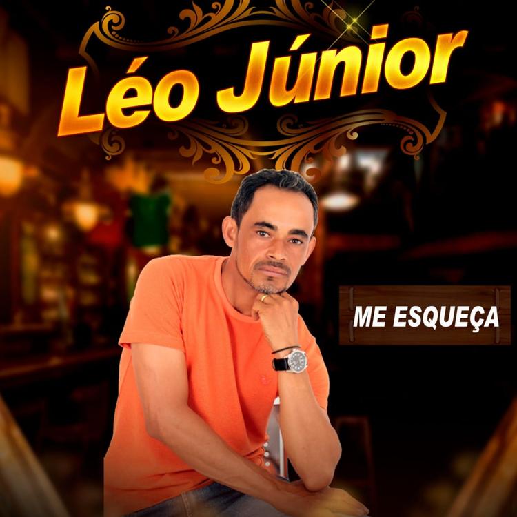 Leo Junior's avatar image