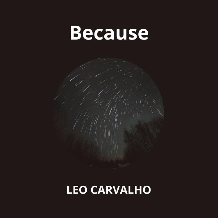 Léo Carvalho's avatar image