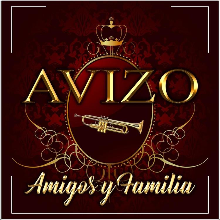 Avizo's avatar image