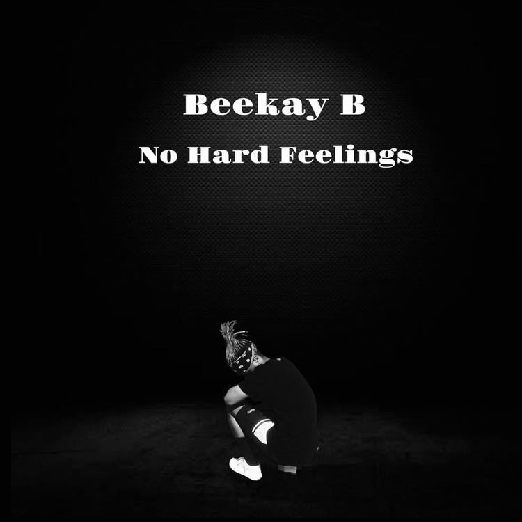 Beekay B's avatar image