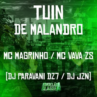 Tuin de Malandro By Mc Magrinho, DJ PARAVANI DZ7, Mc Vava ZS, DJ JZN's cover