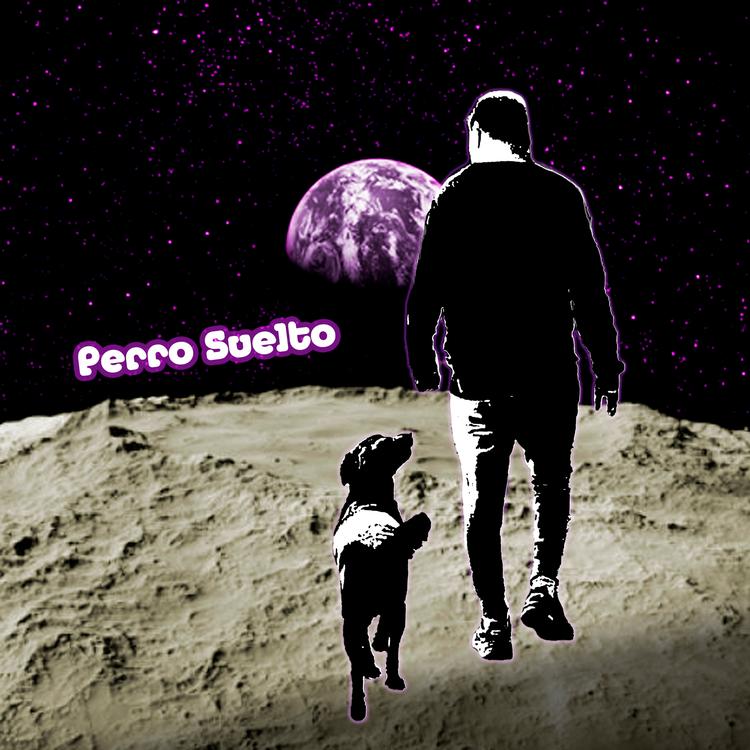 Perro Suelto's avatar image