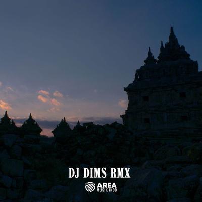 DJ DIMS's cover