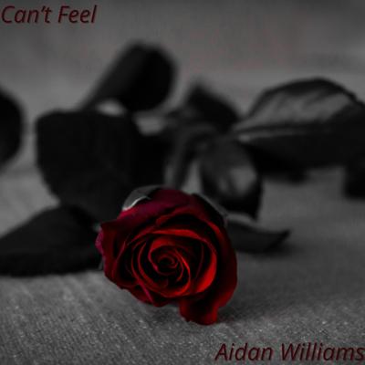 Aidan Williams's cover