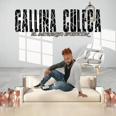 gallina culeca's cover