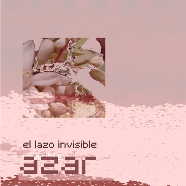 El Lazo Invisible's avatar image