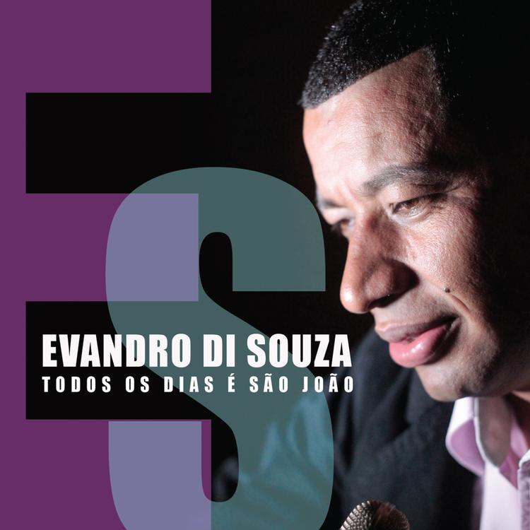Evandro Di Souza's avatar image