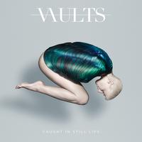Vaults's avatar cover