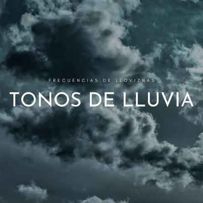 Paraíso De Lluvia Forestal's cover