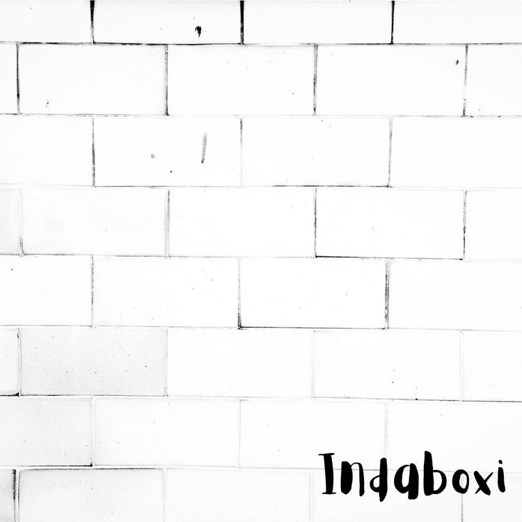 Indaboxi's avatar image