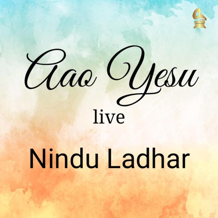 Nindu Ladhar's avatar image