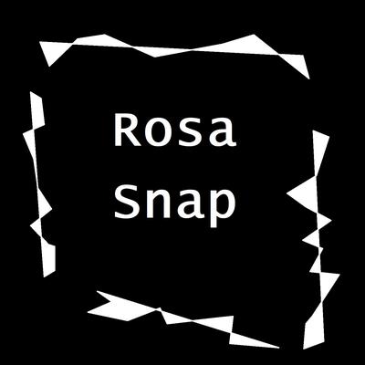 Rosa Snap (Slowed Remix)'s cover