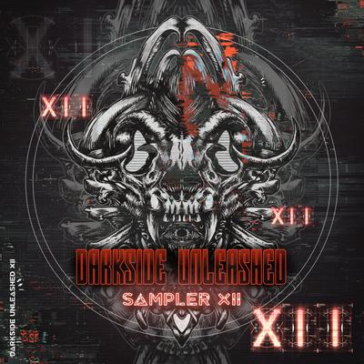 Darkside Unleashed Sampler XII's cover