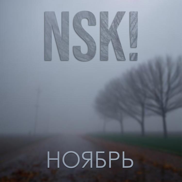 Nsk's avatar image