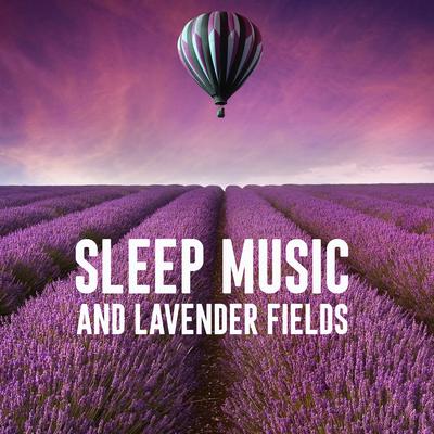 Gentle Sunlight By Sleep Music Lab, Laurent DENIS, Fall Asleep Dreaming's cover