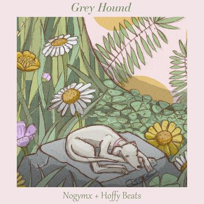 Greyhound By Nogymx, Hoffy Beats's cover