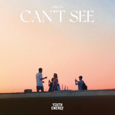 Can't See By SKGN's cover