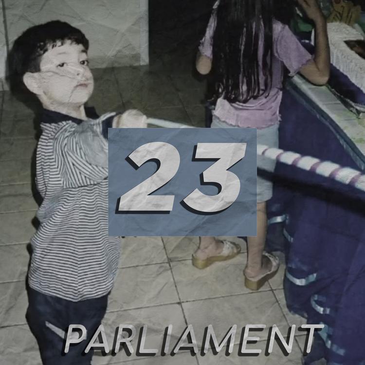 Parliament's avatar image