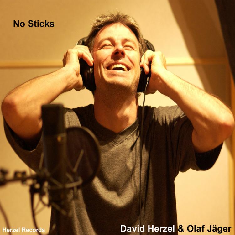 David Herzel's avatar image