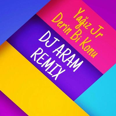 DJ Aram's cover