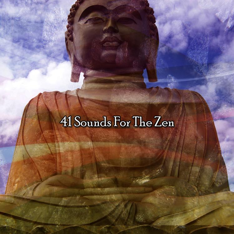 Meditation Awareness's avatar image