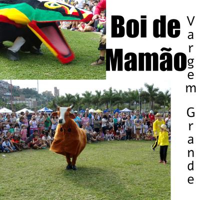 Música do Boi's cover