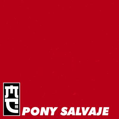 Pony Salvaje's cover