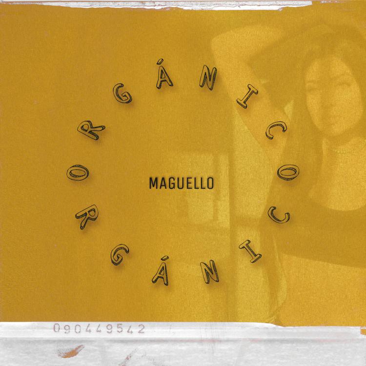 Maguello's avatar image