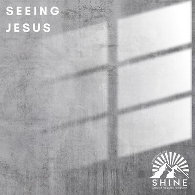 Seeing Jesus's cover