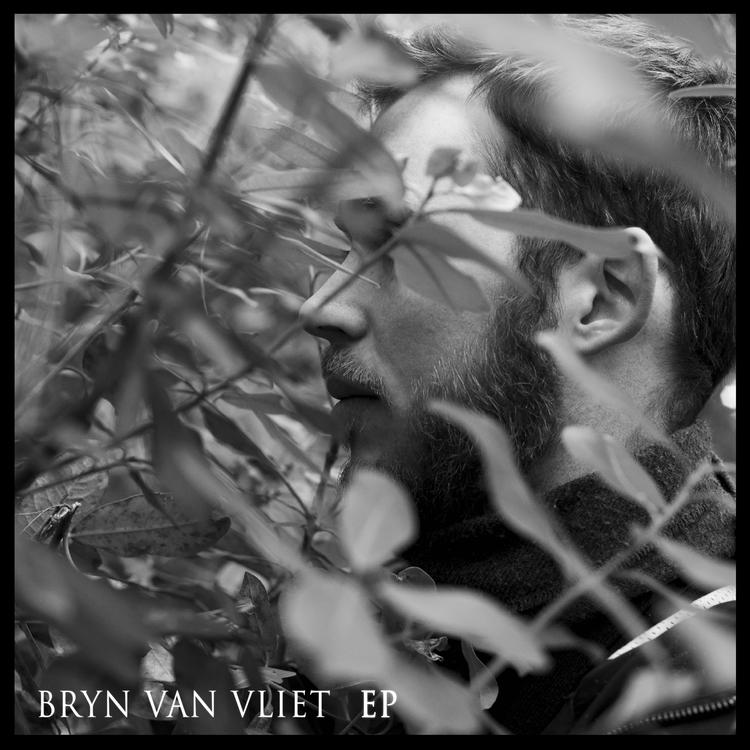 Bryn Van Vliet's avatar image