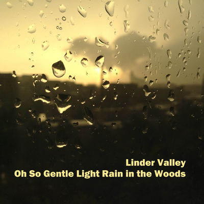 Linder Valley's cover