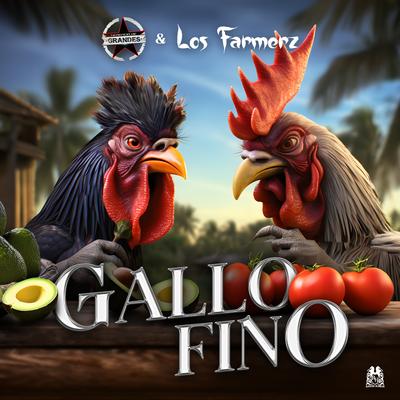Gallo Fino's cover
