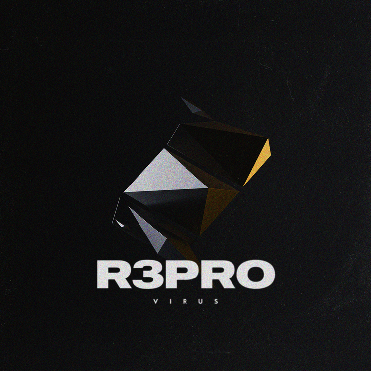 R3PRO's avatar image