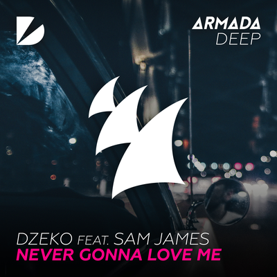 Never Gonna Love Me By Dzeko, Sam James's cover