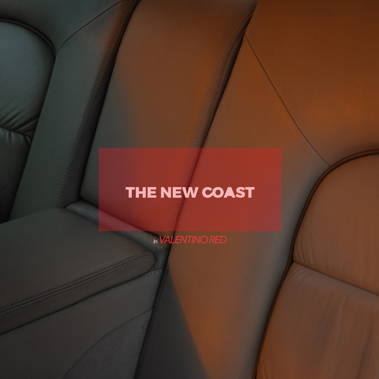 The New Coast's avatar image