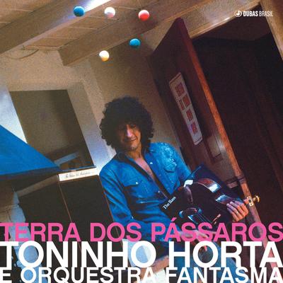 Aquelas Coisas Todas By Toninho Horta, Orquestra Fantasma's cover