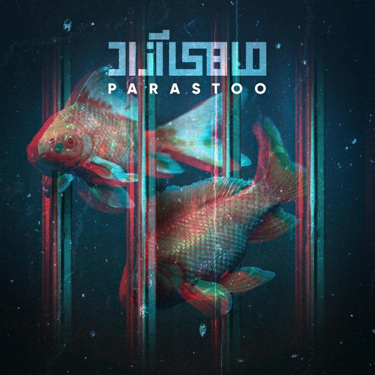 Parastoo's avatar image