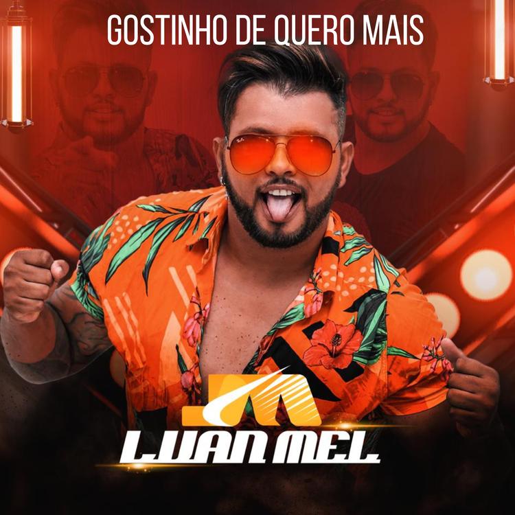 Luan Mel's avatar image