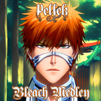 Ranbu no Melody (Bleach Opening 13) By Pellek's cover