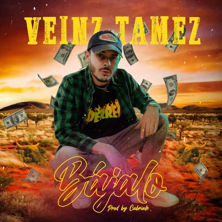 Veinz Tamez's avatar image