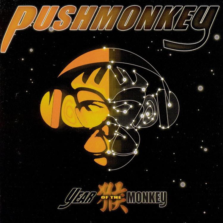 Pushmonkey's avatar image