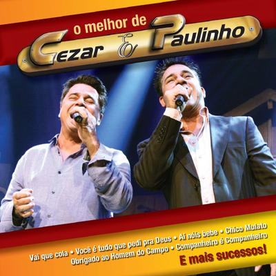 Se Eu Não Puder Te Esquecer (Ao Vivo) By Cezar & Paulinho's cover