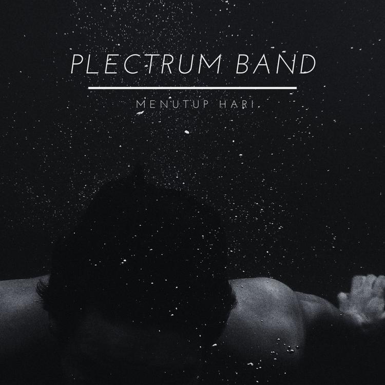 Plectrum Band's avatar image