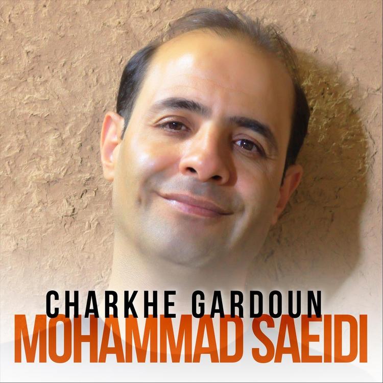 Mohammad Saeidi's avatar image