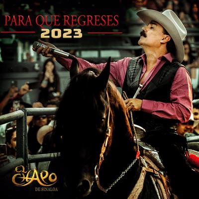 Para Que Regreses 2023's cover