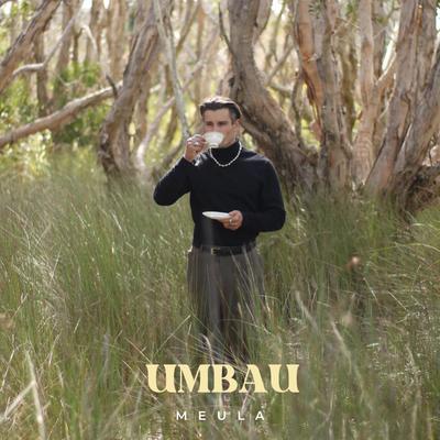 umbau's cover